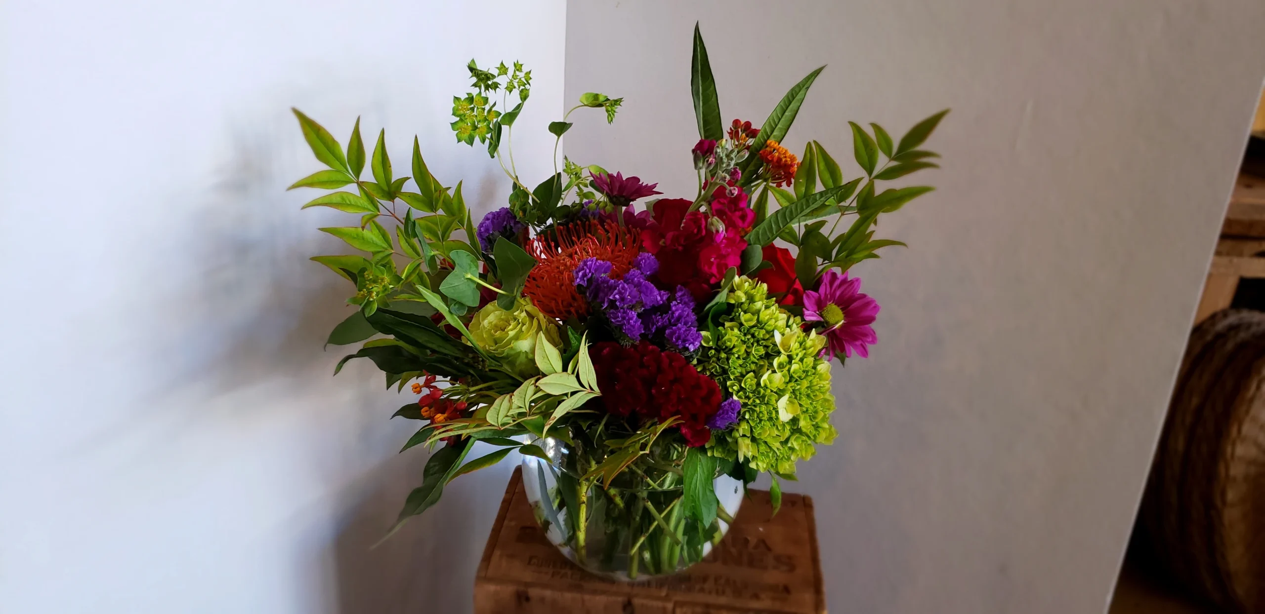 Plant Sale Shop -Plant Sale Shop 20181109093652 file 5be5fdf4945cf scaled