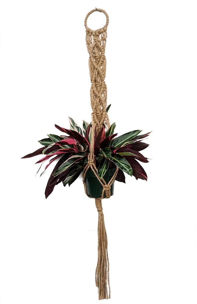Natural Jute Macrame Plant Hanger - 47" Length - Holds 6-8" Pot Size - Model 31 1 Natural Jute Macrame Plant Hanger - 47" Length - Holds 6-8" Pot Size - Model 31