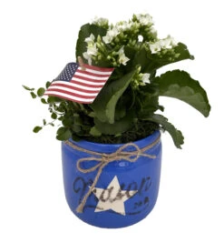 Glory Blue Mason Jar Ceramic Planter With Live Kalanchoe And Fern Plants