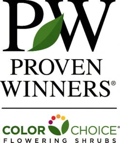 TINY WINE® Ninebark Perennial Shrub - Physocarpus - Proven Winners - 4" Pot -Plant Sale Shop proven20winners 54287.1615344563