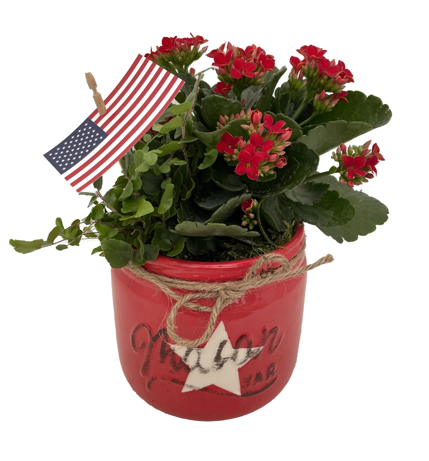 Glory Red Mason Jar Ceramic Planter With Live Kalanchoe And Fern Plants 1 Glory Red Mason Jar Ceramic Planter With Live Kalanchoe And Fern Plants