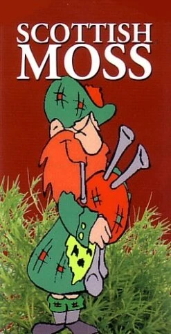 Scottish Moss - Sagina Subulata Aurea - Very Hardy - Quart Pot 7 Scottish Moss - Sagina Subulata Aurea - Very Hardy - Quart Pot -Plant Sale Shop scottishmoss7 21978.1594211904