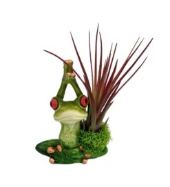 Plant Sale Shop -Plant Sale Shop yogafroghandsup 32529.1593791928